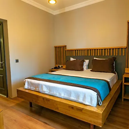 Assos Hunters Hotel-special Class Hotel