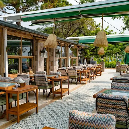 Assos Hunters Hotel-special Class