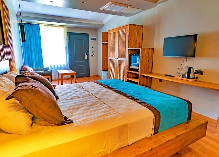 Assos Hunters Hotel-special Class Ξενοδοχείο Ayvacik (Canakkale)