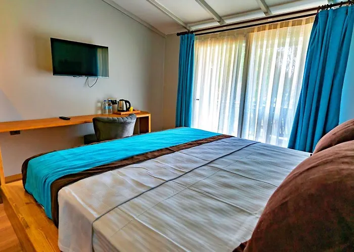 Ξενοδοχείο Assos Hunters Hotel-special Class Ayvacik (Canakkale)