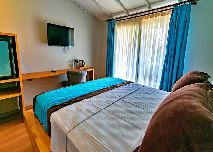 Ξενοδοχείο Assos Hunters Hotel-special Class *