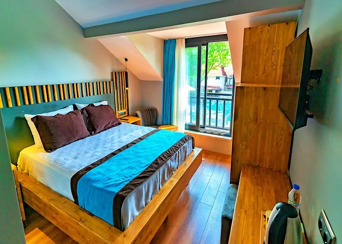 Assos Hunters Hotel-special Class Ξενοδοχείο *